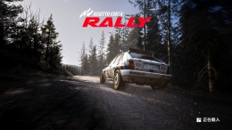   Assetto Corsa Rally