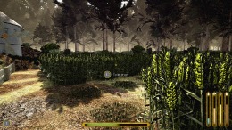  Medieval simulators: Baker