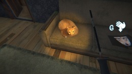 No, I'm not a Femboy  PC