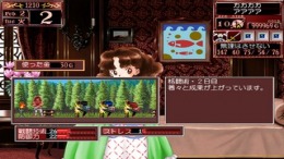   Princess Maker 2
