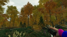   Prologue: Go Wayback!