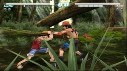   Fighting for One Piece