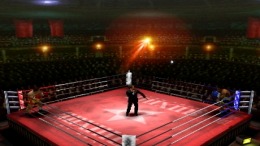 Prince Naseem Boxing PS1