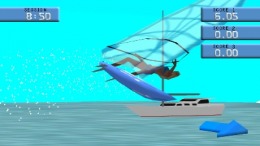   Windsurfers Paradise